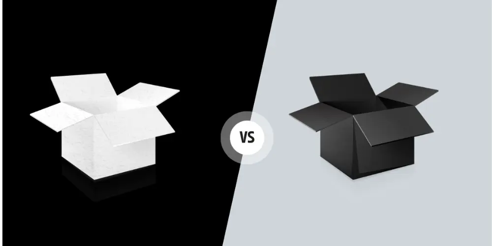 What is The Difference Between a White Box and a Black Box Testing