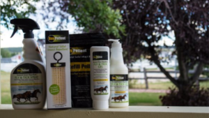 homemade fly repellent