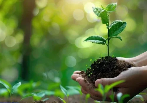 Is Nature Made a Good Vitamin Brand