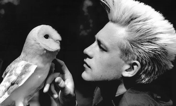 Chris Packham Net Worth and Career Beginnings