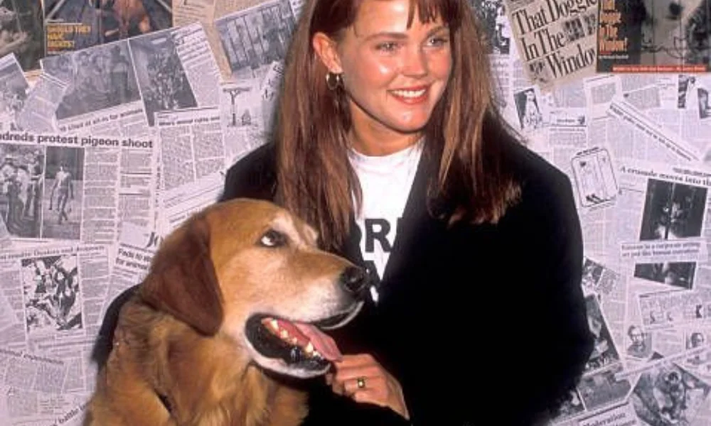 woman in a black jacket poses with a large brown dog-belinda carlisle net worth