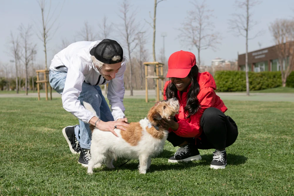 Debunking Common Myths About Rabies Shots for Dogs